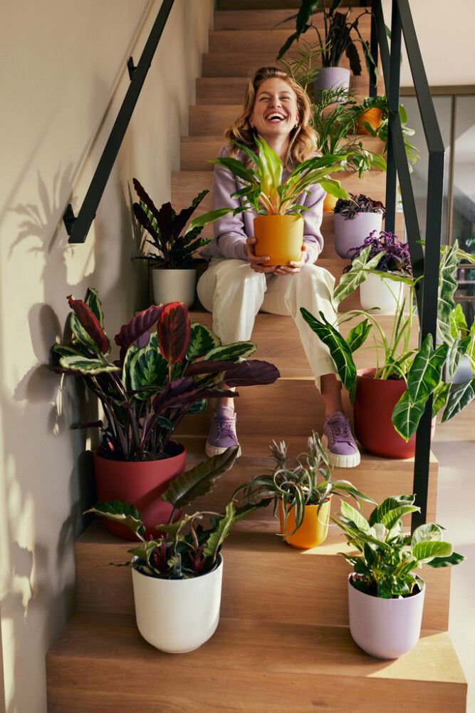 Blómapottur Jazz Ø17 cm Elho fjólublár