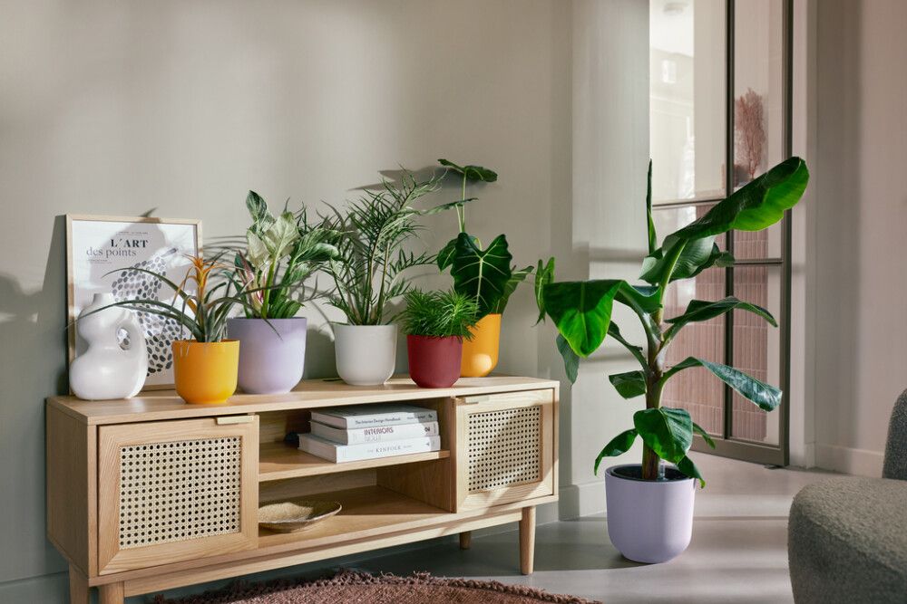 Blómapottur Jazz Ø14 cm Elho appelsínugulur