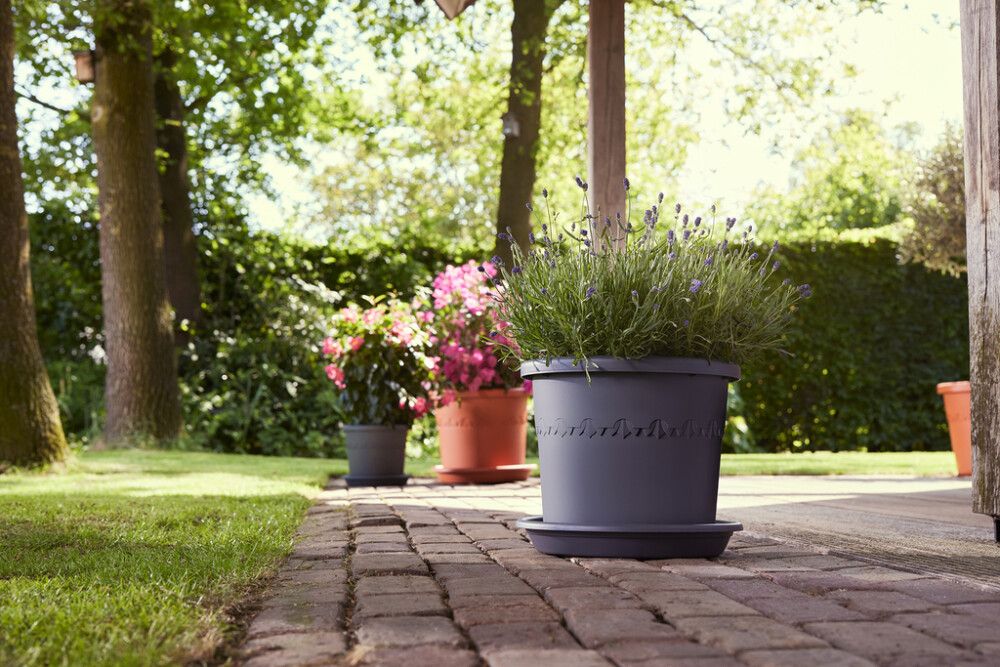 Blómapottur Algarve Cilindro Ø29 cm Elho koksgrár