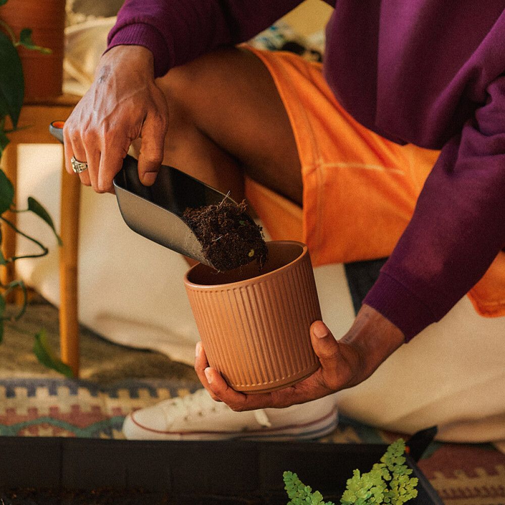 Garðskófla Fiskars svört