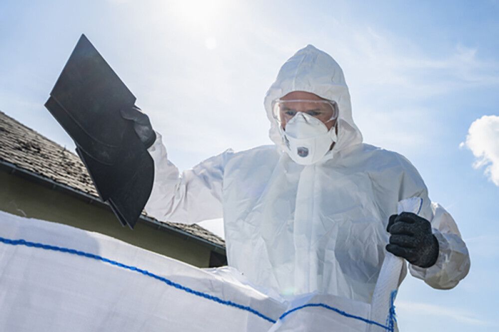 Rykgríma 2 stk FFP3 V