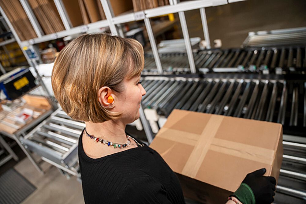 Eyrnatappar 10 stk Wolfcraft