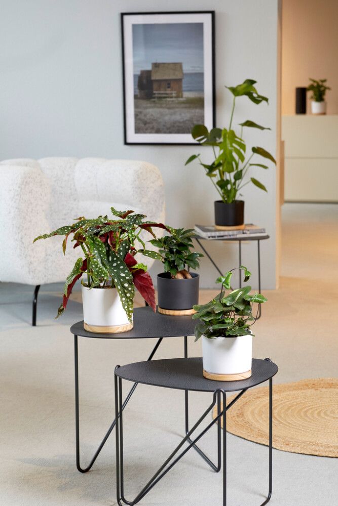 Blómapottur Oslo Ø22 cm hvítur