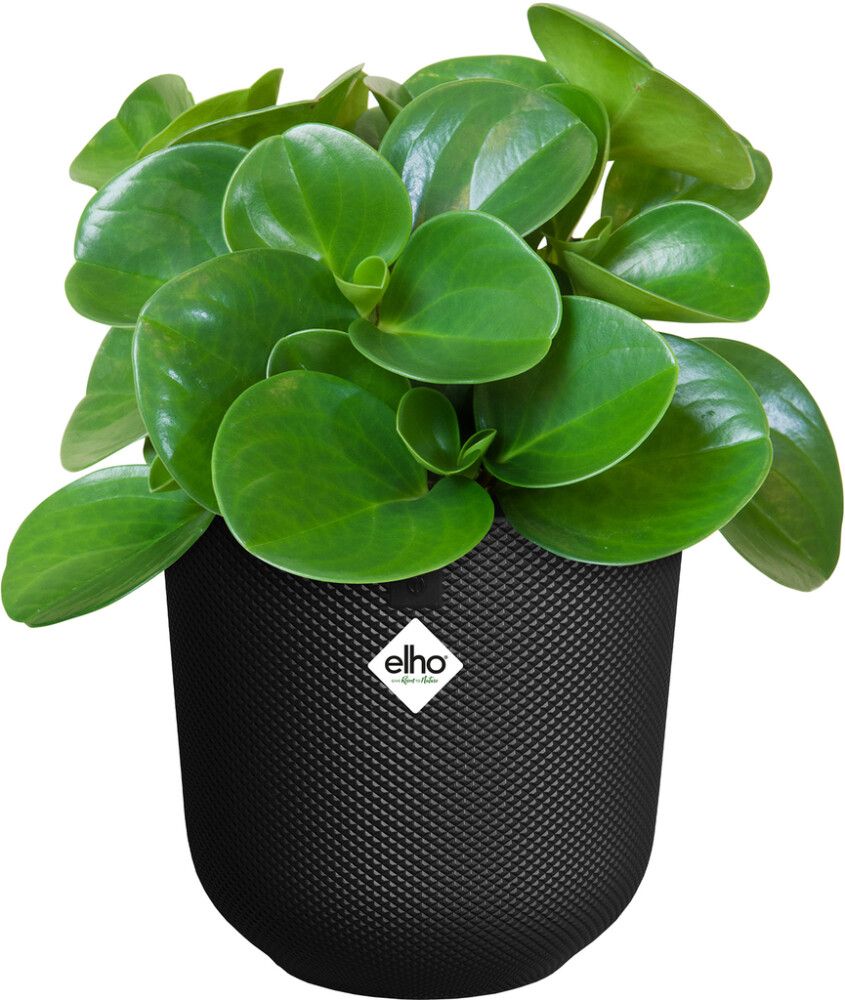 Blómapottur Jazz Round Ø19cm svartur