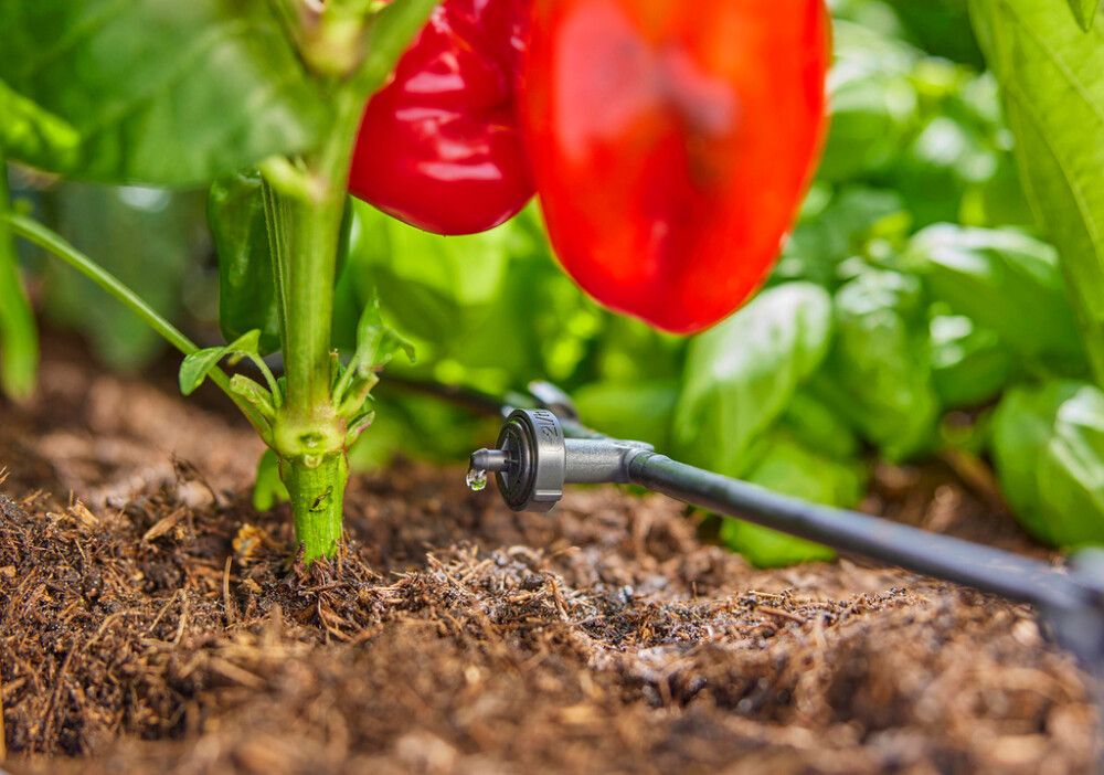 Vökvunarsett með sólarsellu Gardena Aquabloom L