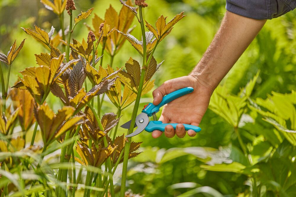 Greinaklippur 20mm Gardena Easycut