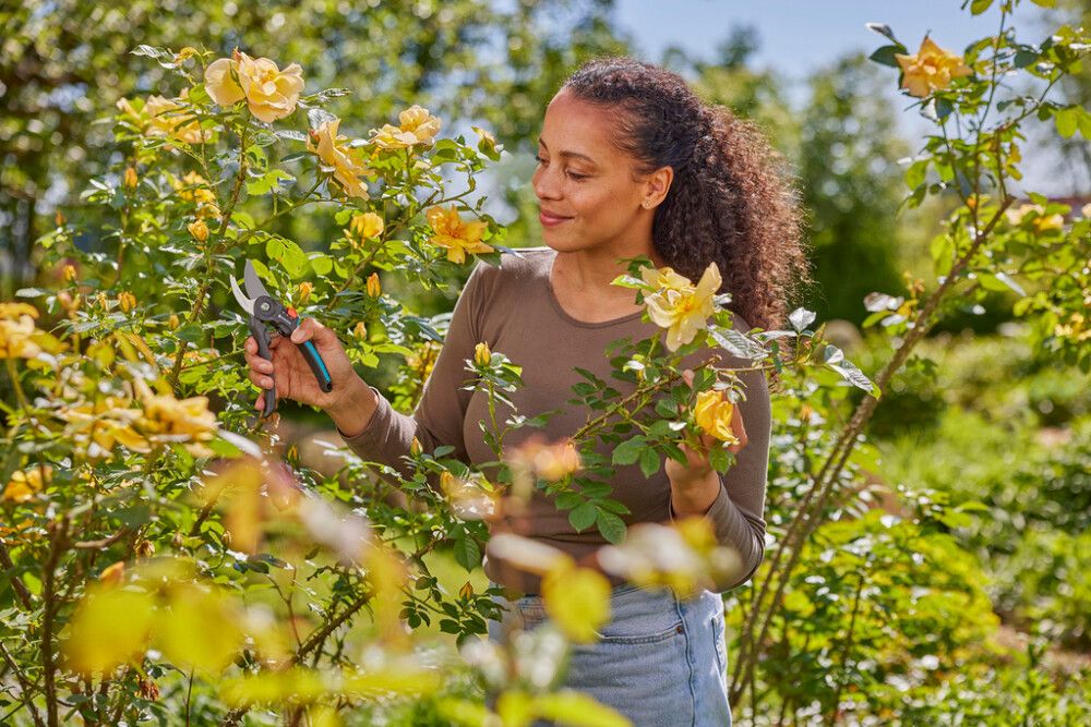 Greinaklippur 22mm Gardena Premiumcut