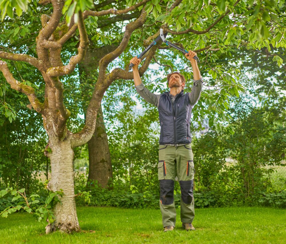 Greinaklippur 50mm Gardena EnergyCut Pro S