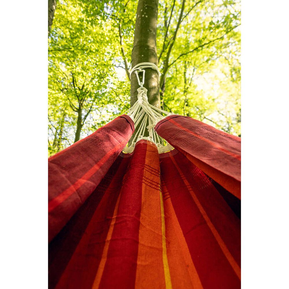 Hengirúm Fylla Rosehip