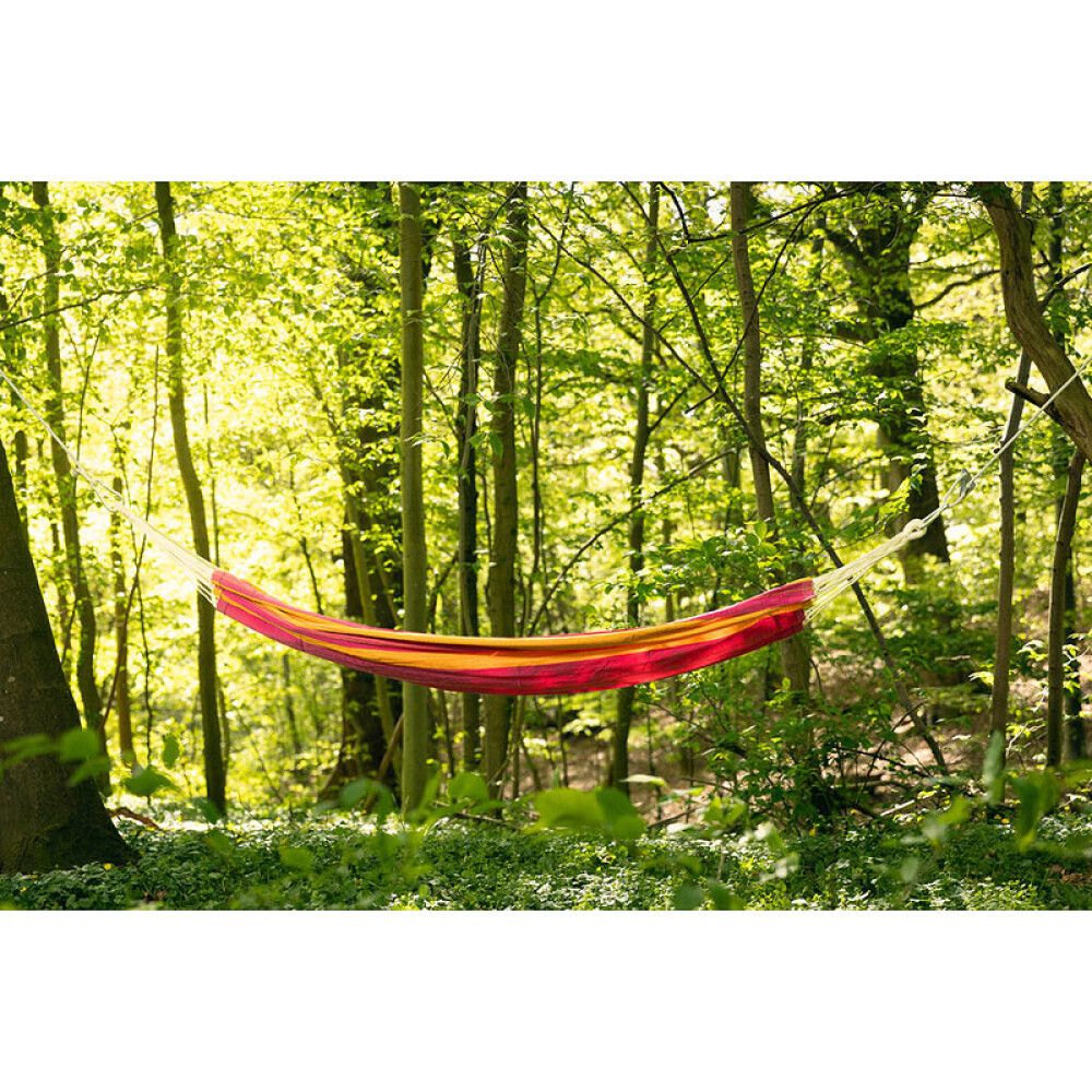 Hengirúm Solrik Rosehip