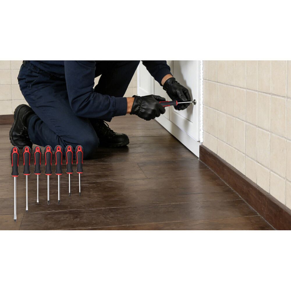 Skrúfjárnasett Alpha-tools