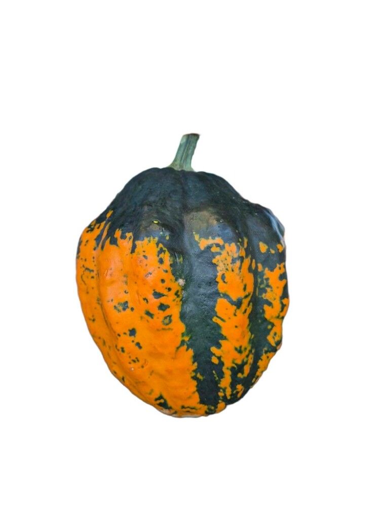 Grasker 0,5-1 kg (margar gerðir)