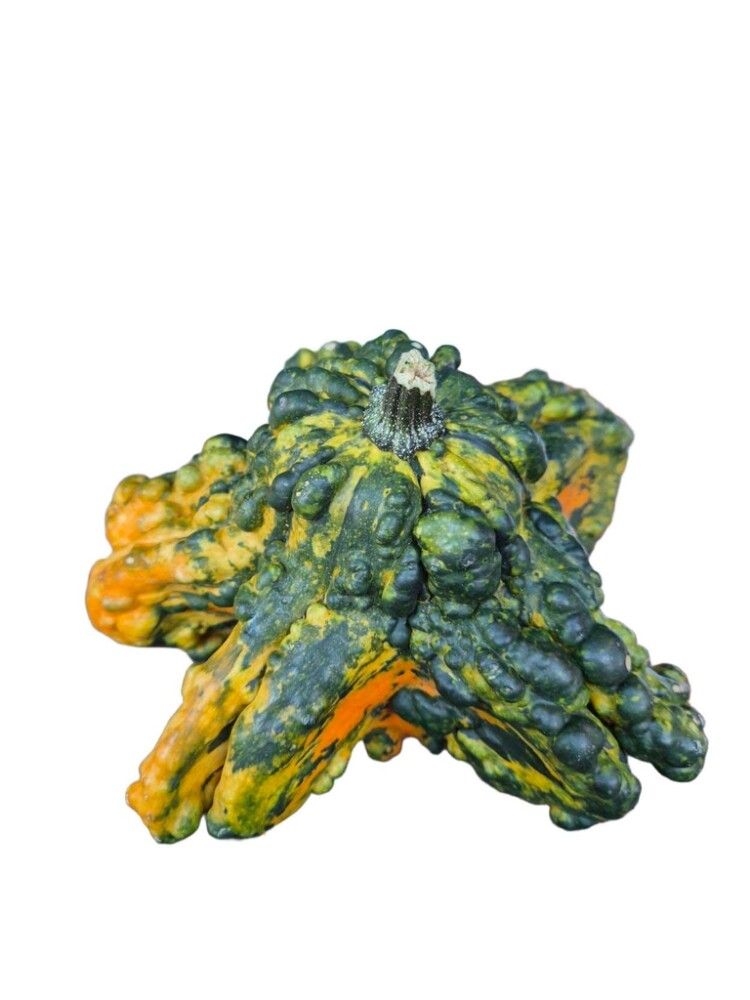 Grasker 0,5-1 kg (margar gerðir)