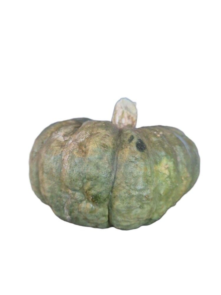 Grasker 0,5-1 kg (margar gerðir)