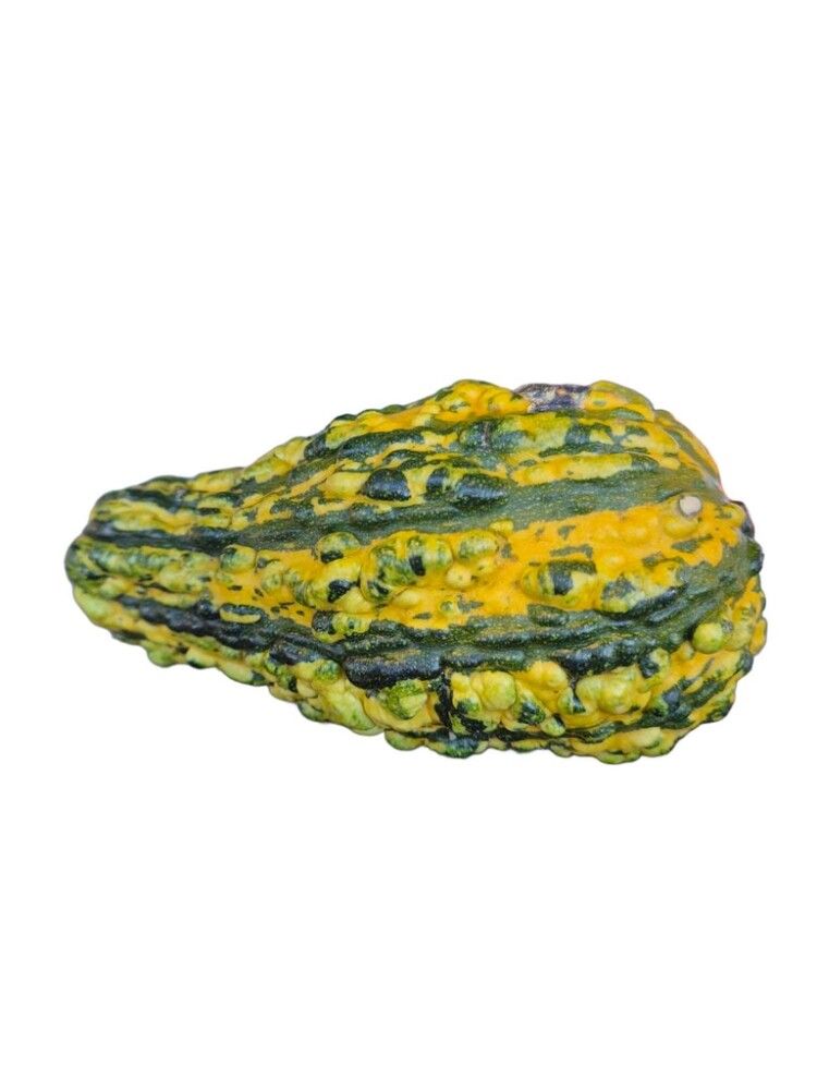 Grasker Cucurbita Sierfruit 0,25 kg (margar gerðir)