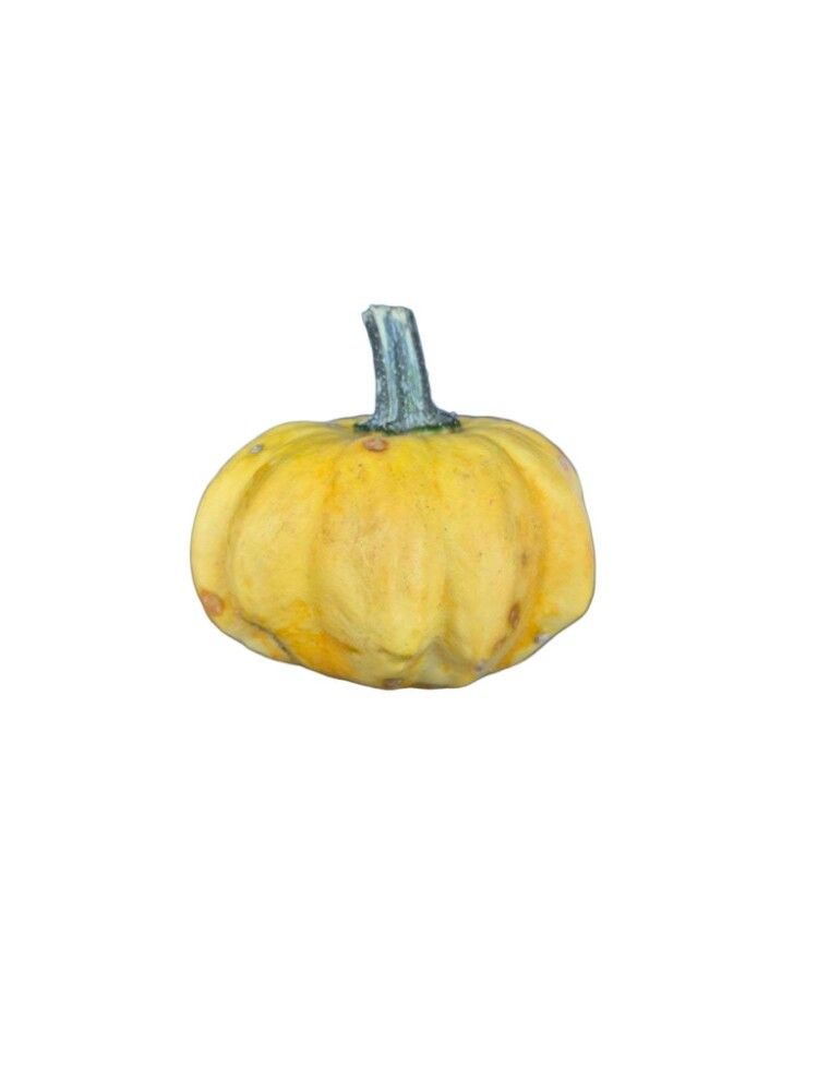 Grasker Cucurbita Sierfruit 0,25 kg (margar gerðir)