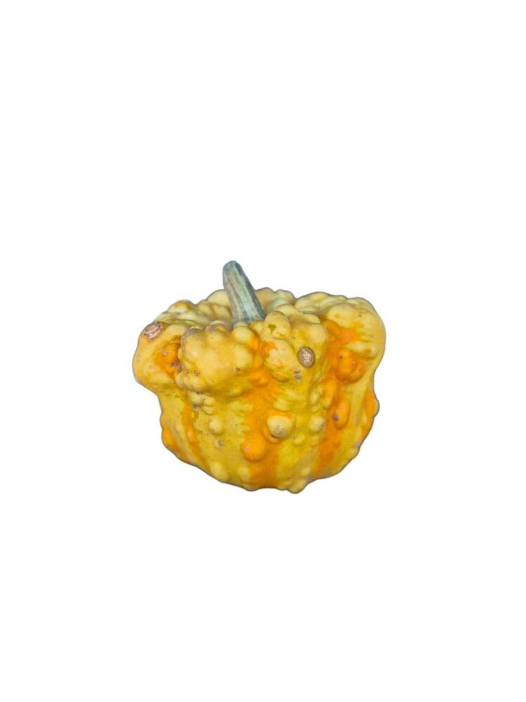 Grasker Cucurbita Sierfruit 0,25 kg (margar gerðir)