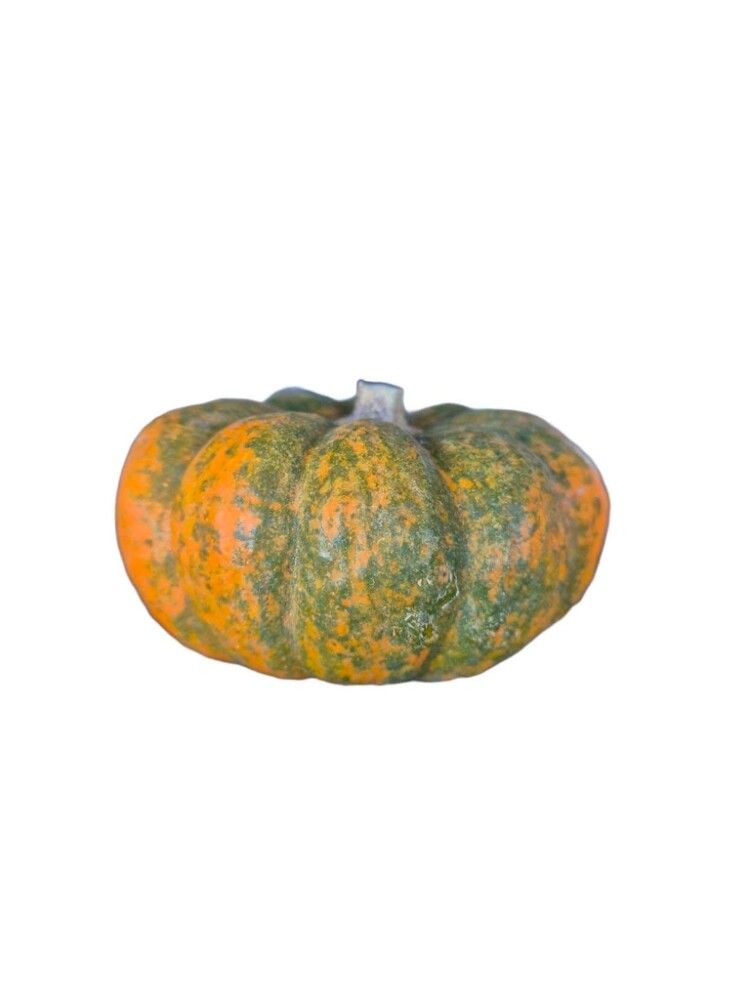 Grasker Cucurbita Sierfruit 0,25 kg (margar gerðir)