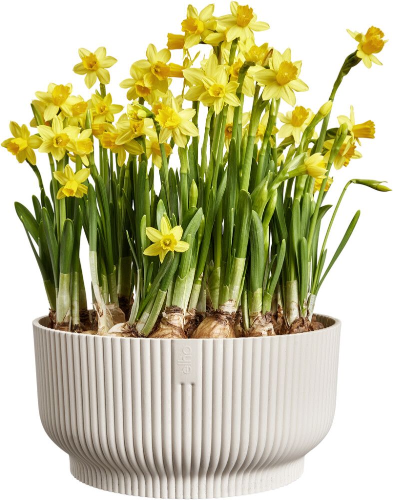 Blómapottur Vibes Fold Bowl Ø25cm hvítur Elho