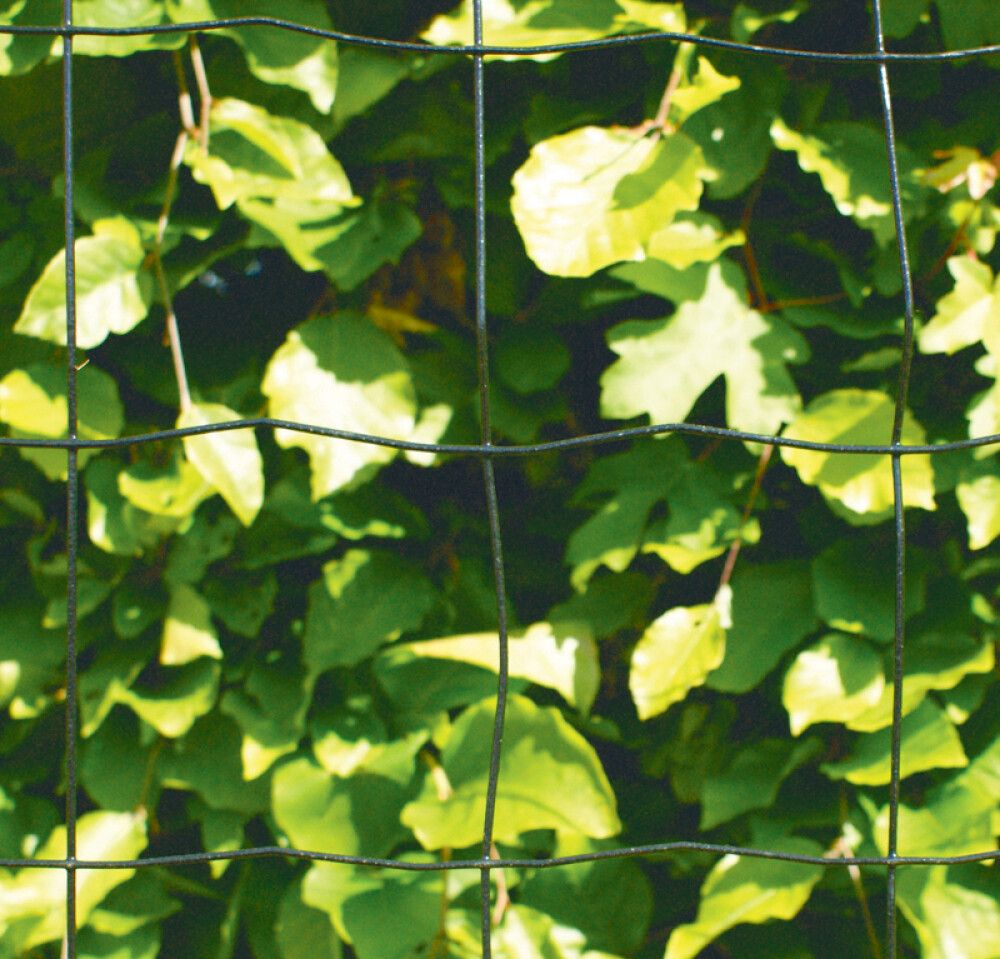 Girðingarnet H:90 cm L:20 m möskvi 100x100 mm NSH svart