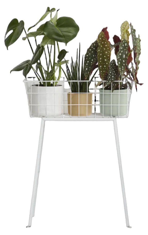 Blómapottur B.For Soft Ø18cm Elho