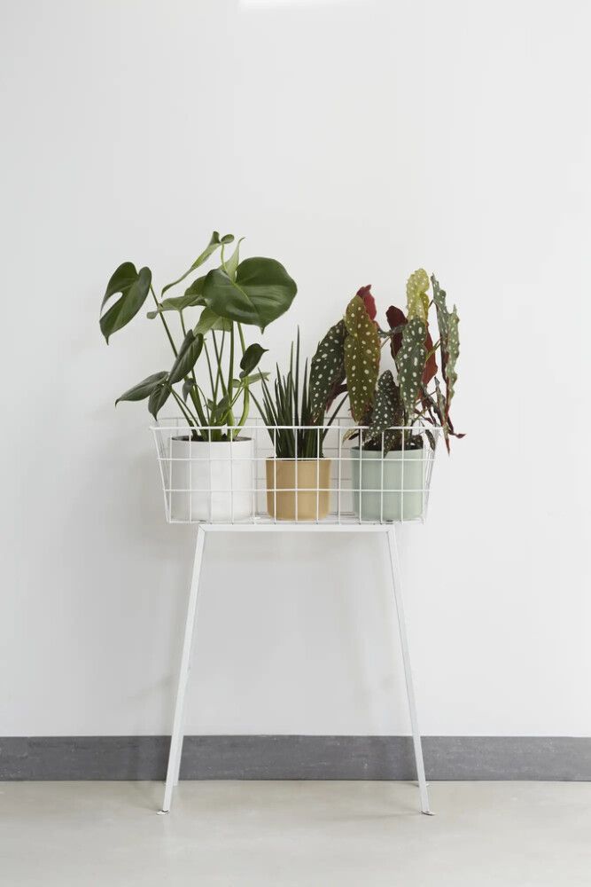 Blómapottur B.For Soft Ø16cm Elho