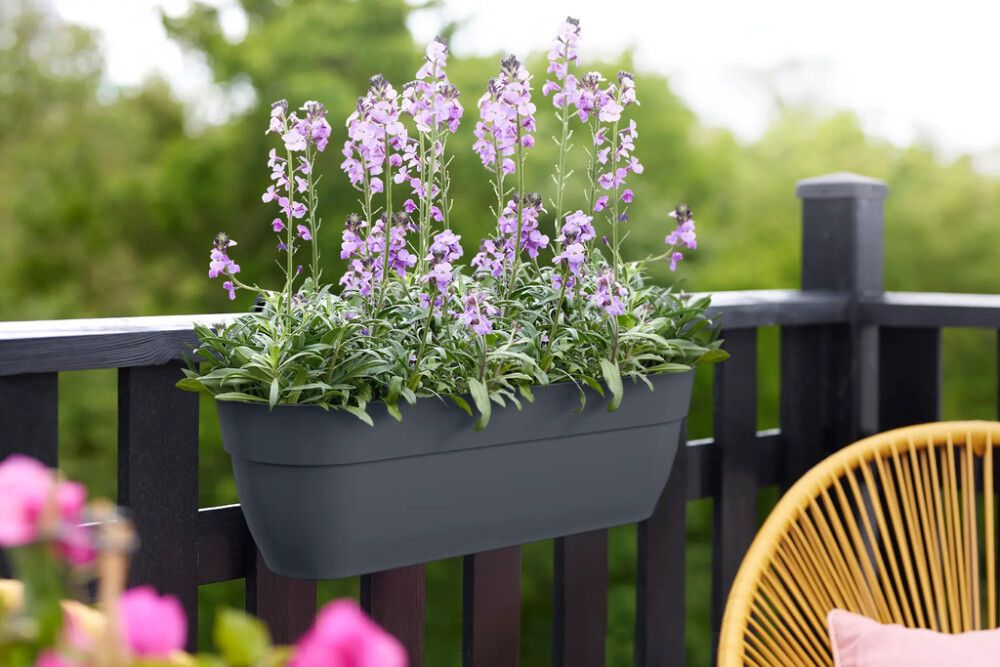 Svalapottur Vibia Campana Easy svartur XL Elho