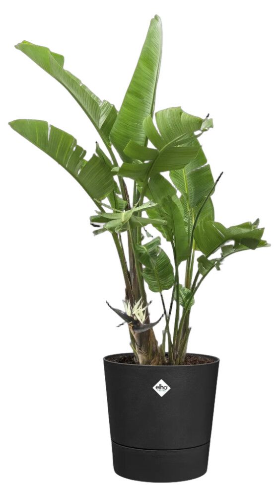 Blómapottur Foss Ø43cm svartur Elho