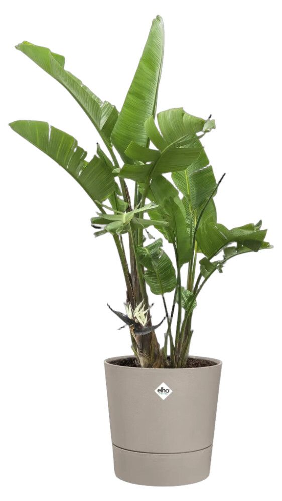 Blómapottur Foss Ø29cm beis Elho