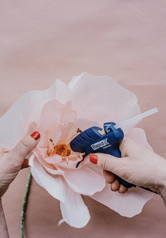 Límbyssa EG Point Rapid 7mm