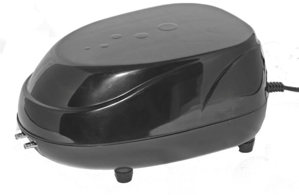 Loftdæla fyrir tjörn AN270