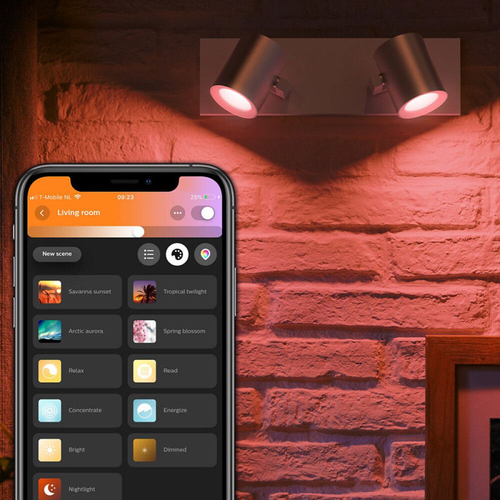 Kastarar 2xGU10 Argenta Philips Hue
