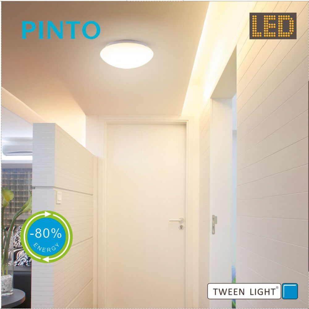 Kúpull LED Pinto Tween Light Ø26 cm 