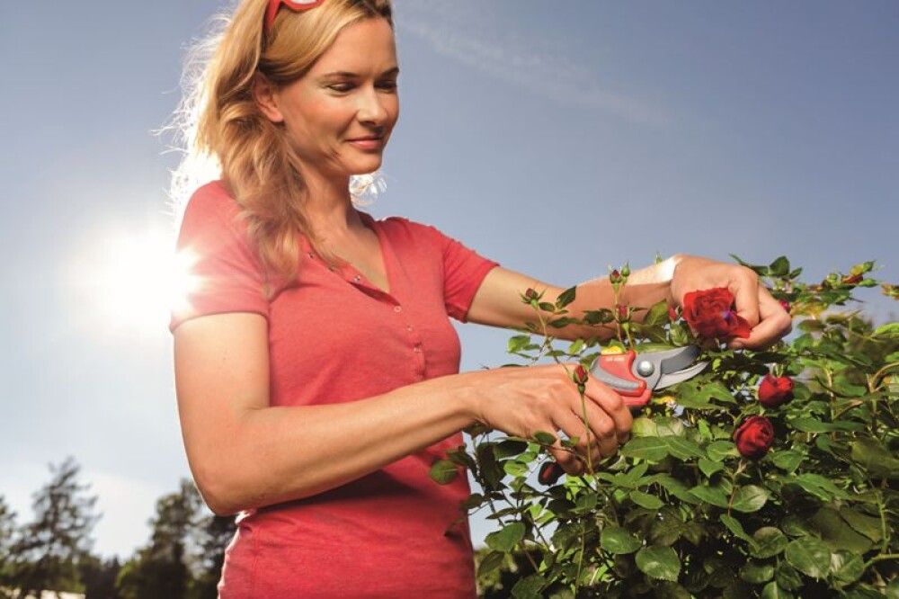 Greinaklippur 22mm Wolff Garten Premium Plus RR4000