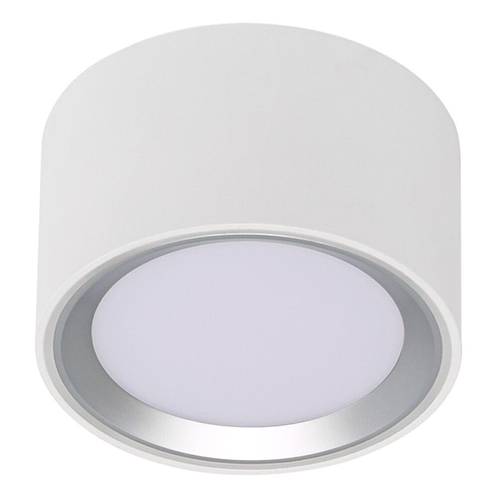 Loftljós LED Fallon hvítt Ø10xH6 cm