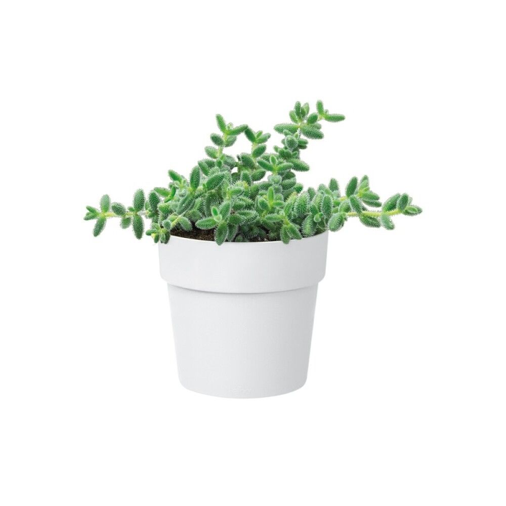 Blómapottur B.for Orginal Ø9 cm Elho hvítur