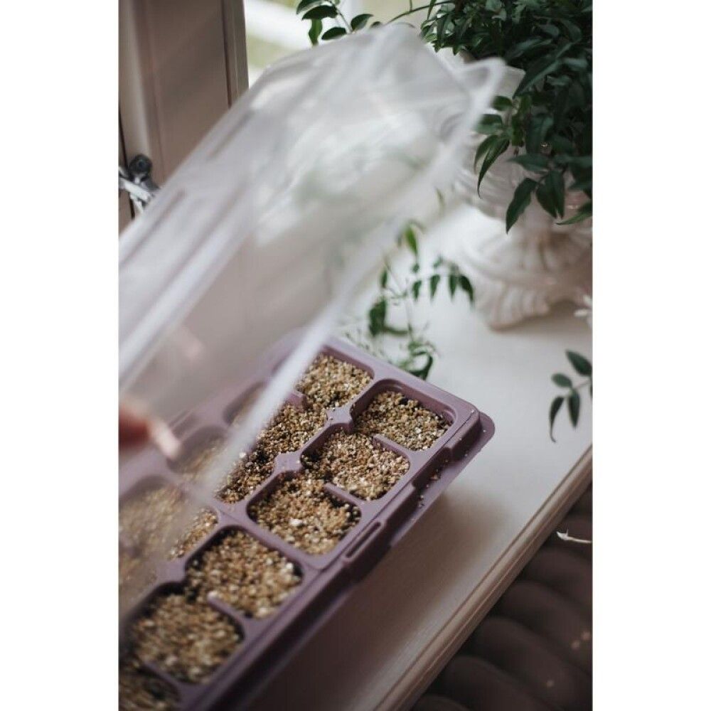 Gróðurbakki Winduo Weibulls 2stk