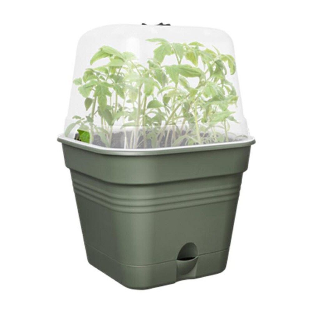 Gróðurbakki Green Basics 20cm grænn