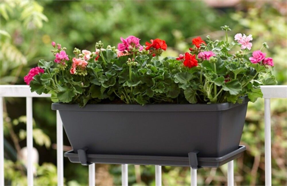 Svalapottur Barcelona 70cm grár