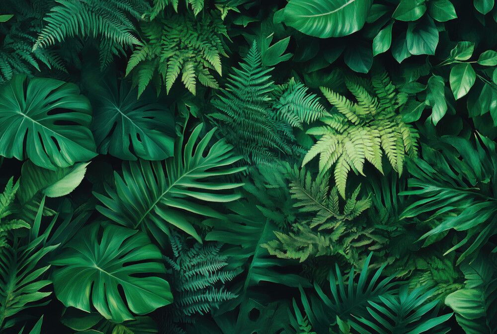 Hljóðvistarmynd plöntur 3600x2420x20 mm InEx