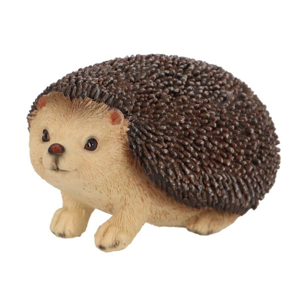 Stytta broddgöltur 15cm Garden Life