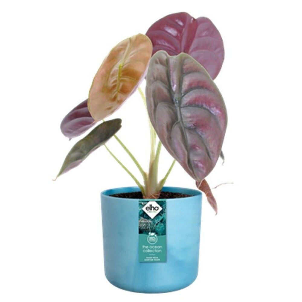 Blómapottur Ocean plast Ø14cm blár