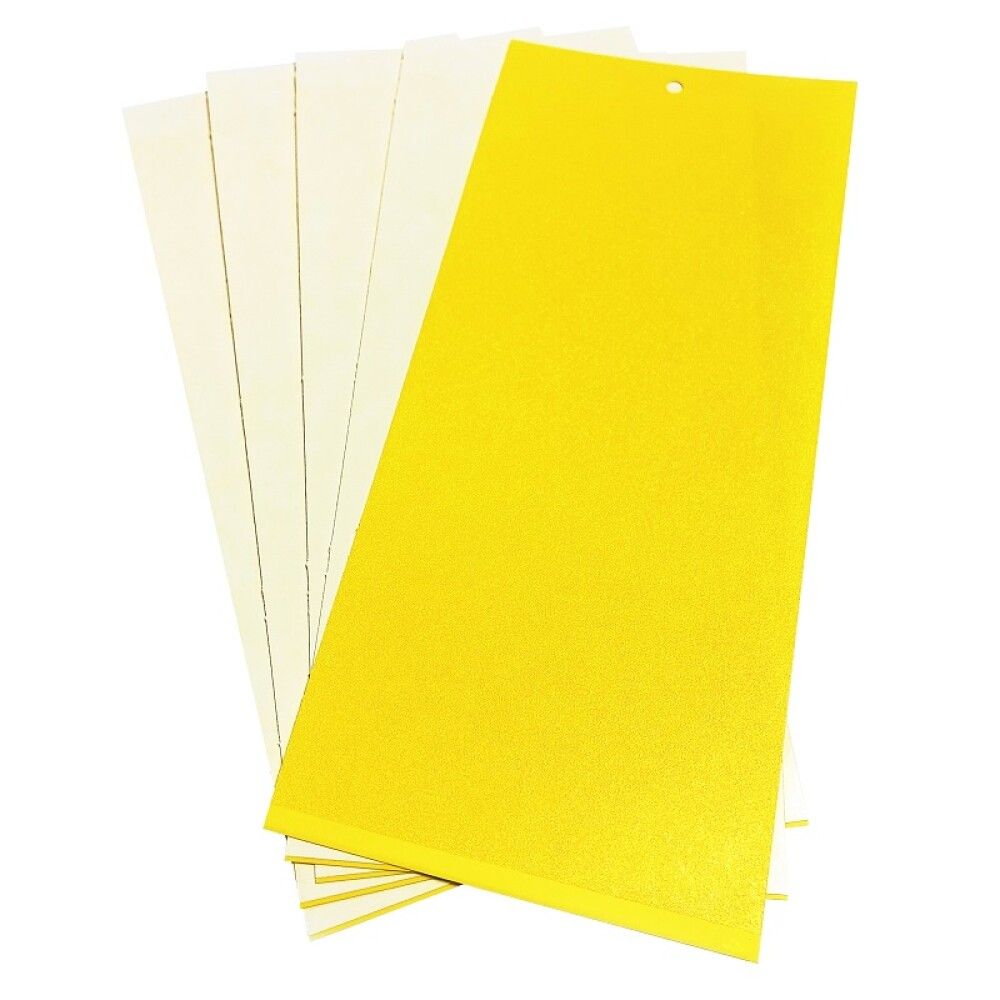 Gildra fyrir skordýr 5stk Green Protect