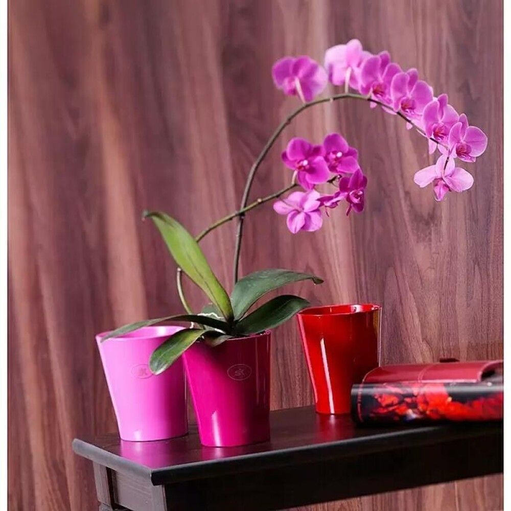 Blómapottur Basel Fashion Ø10cm blackberry