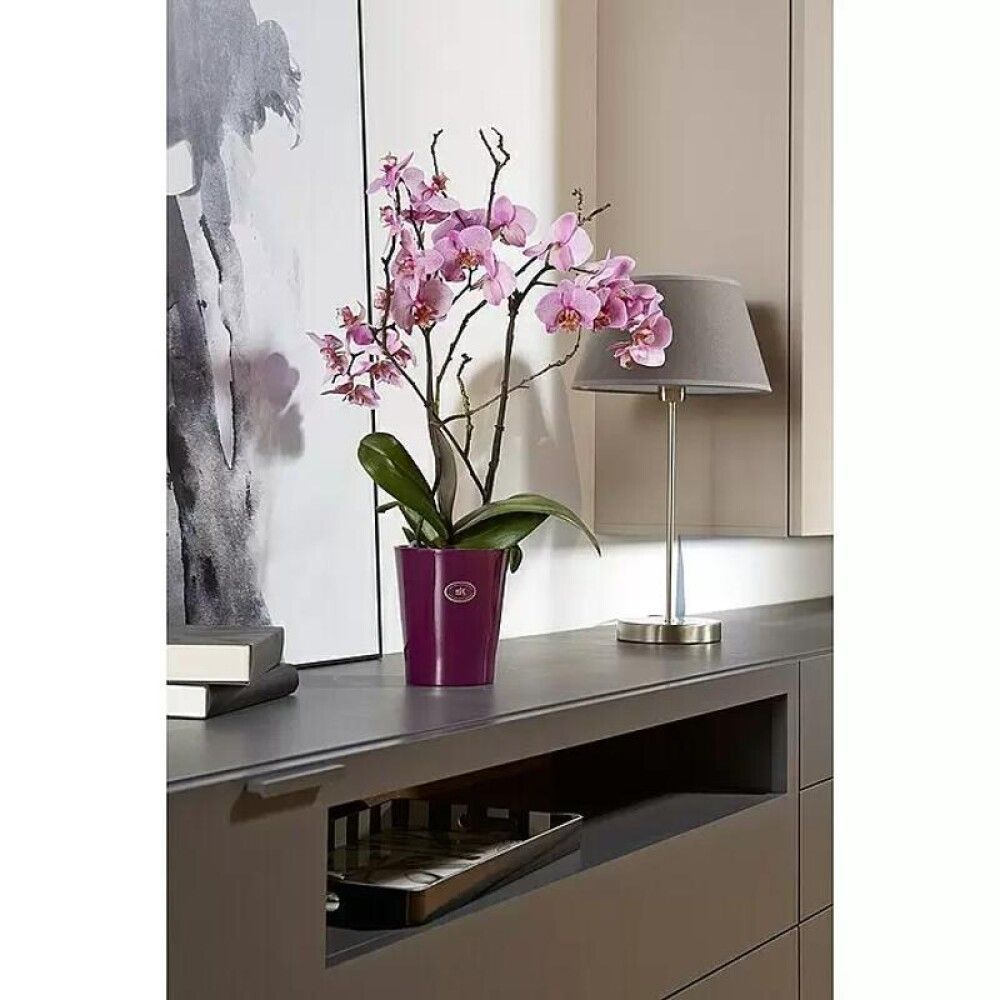 Blómapottur Basel Fashion Ø10cm blackberry