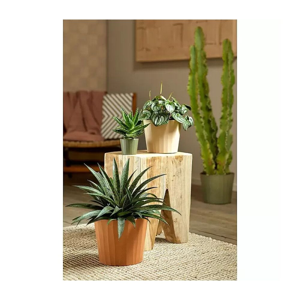 Blómapottur Umea Barista Ø13 cm brúnn