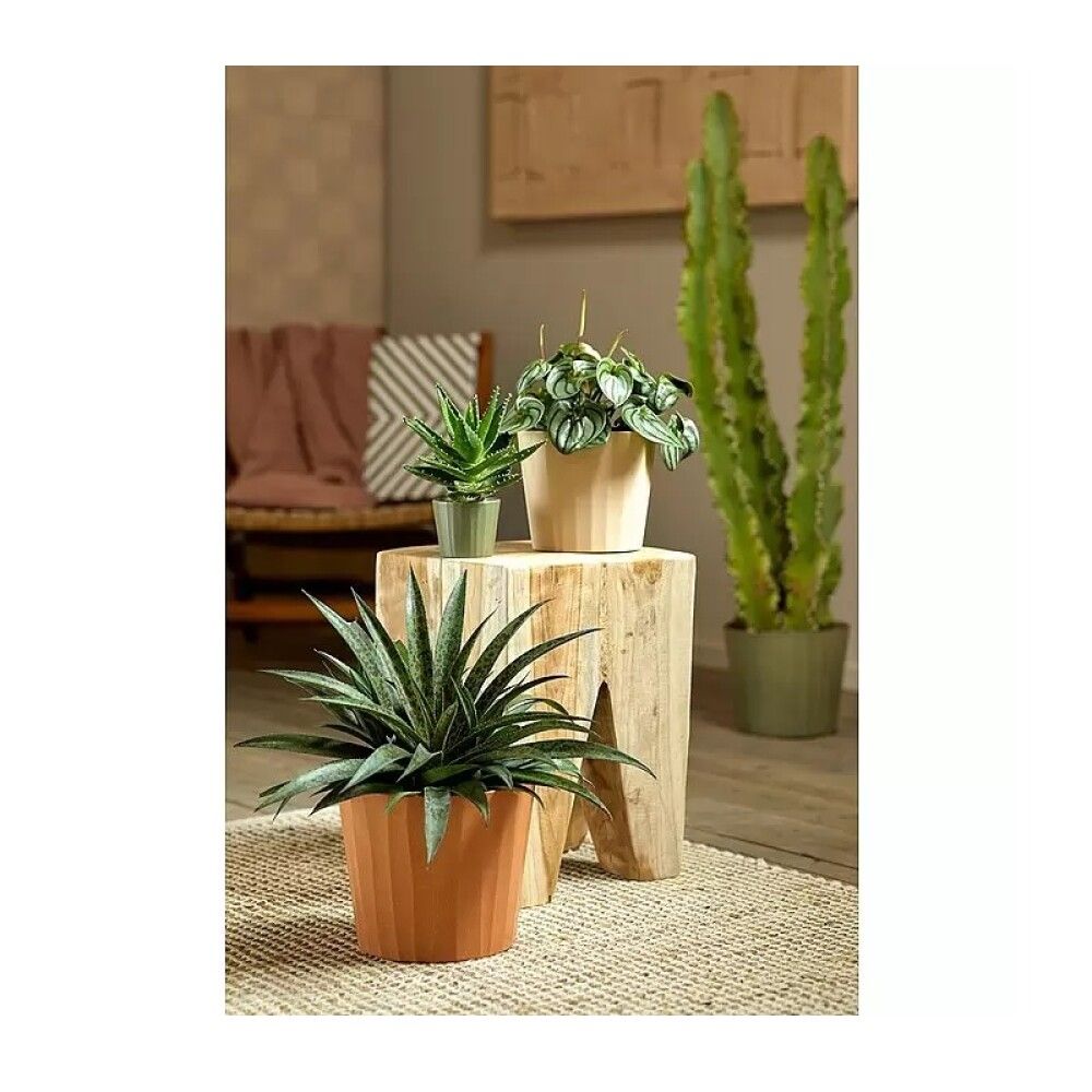 Blómapottur Barista Oat Ø23cm 