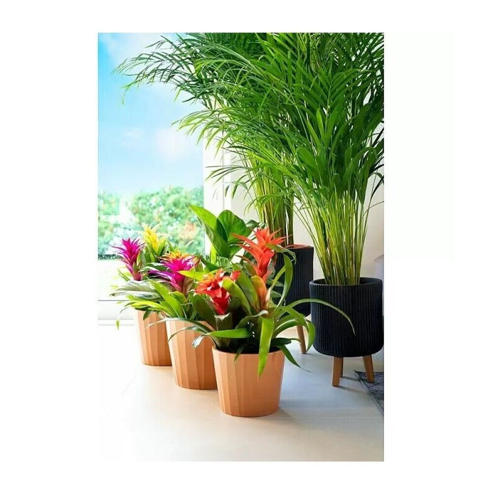 Blómapottur Barista Cappuccino Ø21cm brúnn