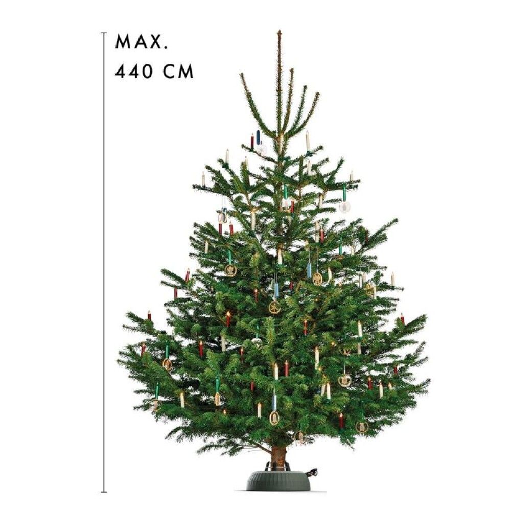 Smámynd 6