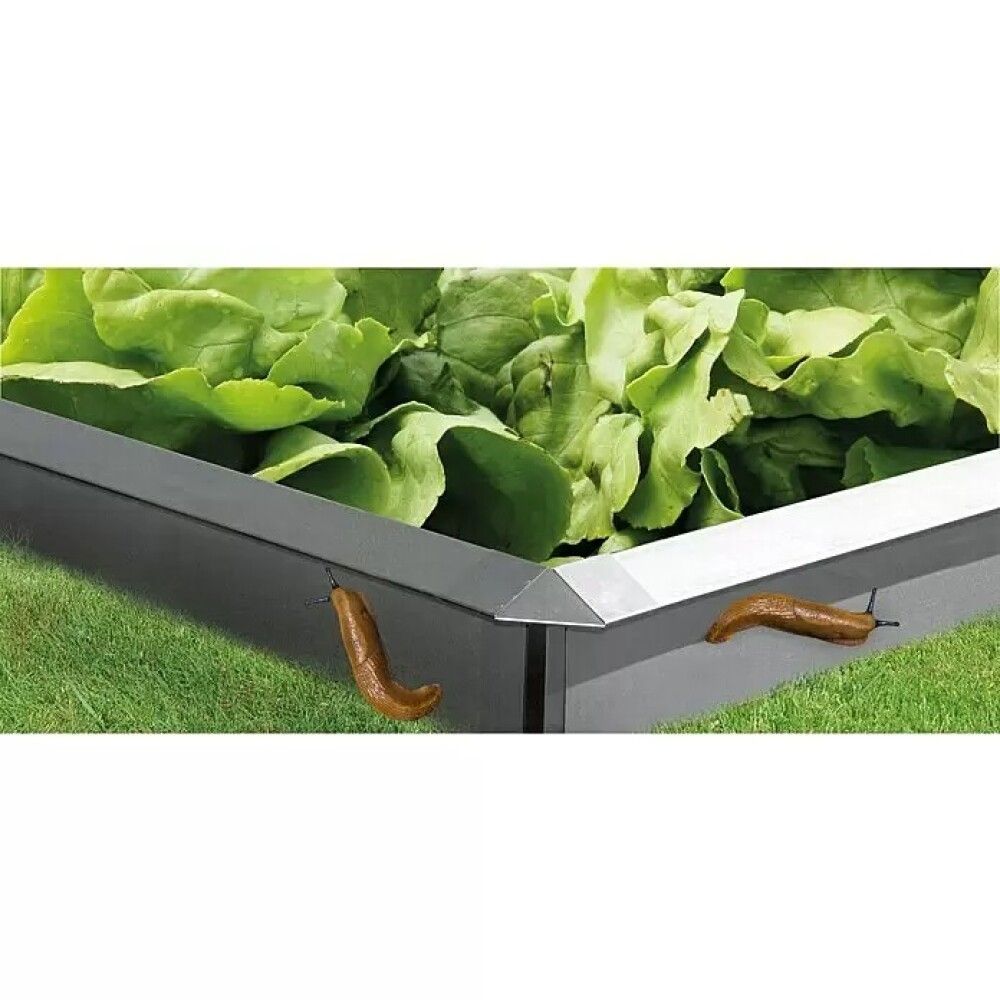 Sniglavörn fyrir hábeð hlið 100x7x20cm Bellissa